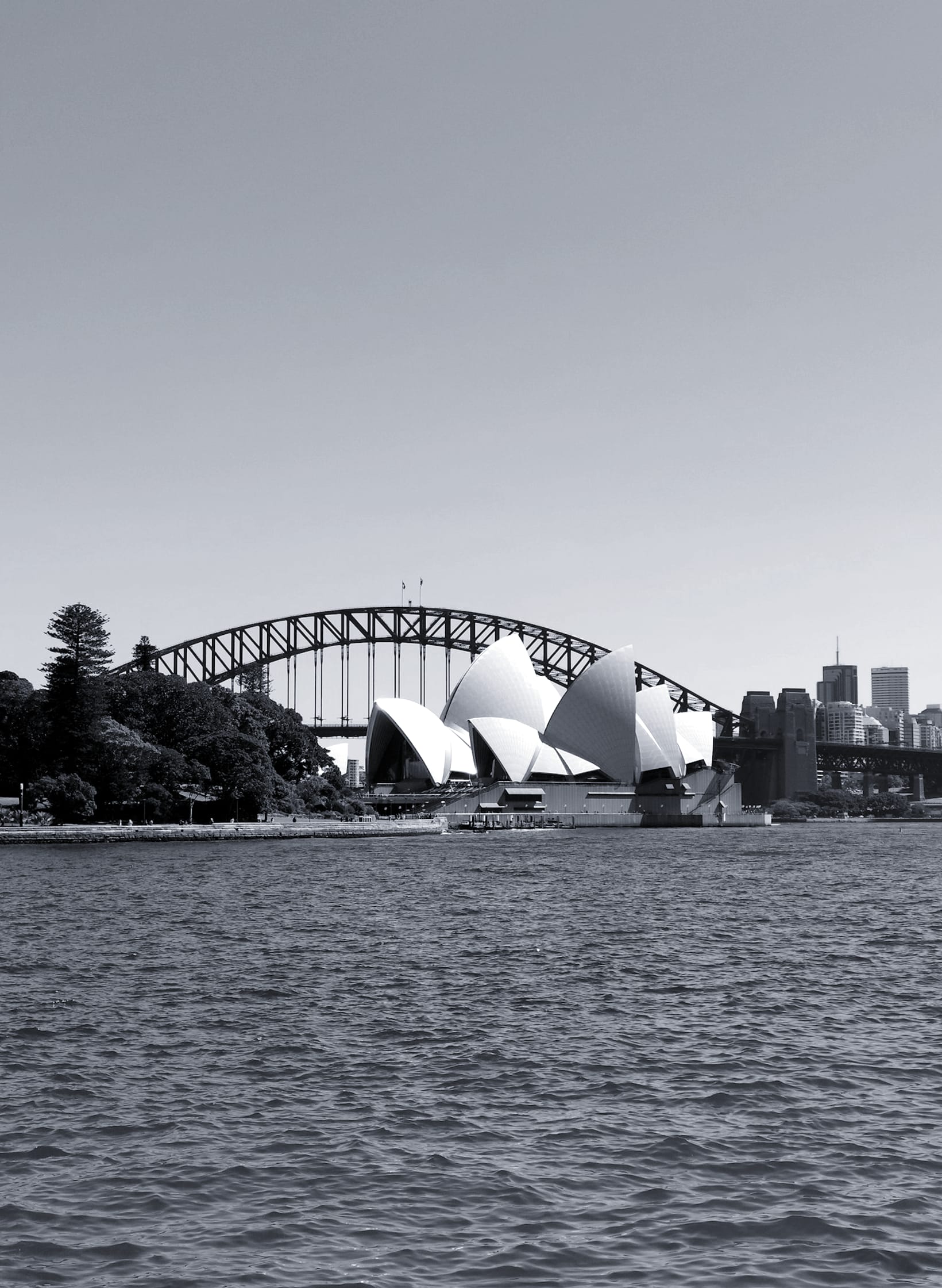 Sydney Opera House, the Harbour Bridge and the city skyline across the water